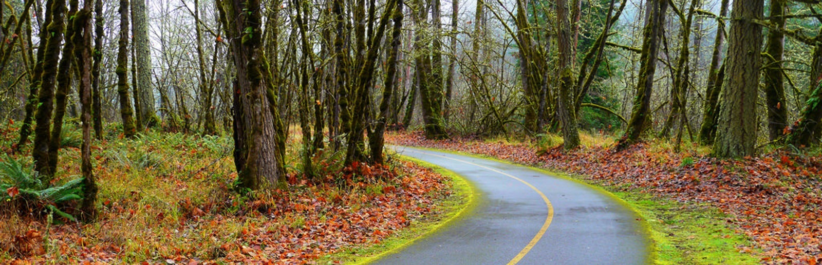 fleck park bike_pano2_120318